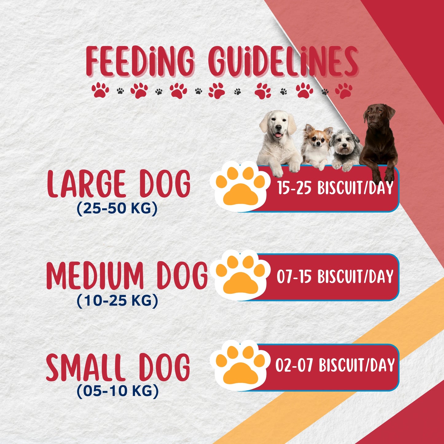 Petqila Pawlicious Dog Biscuits – Healthy & Delicious Treats for Adult 450G Different Flavor