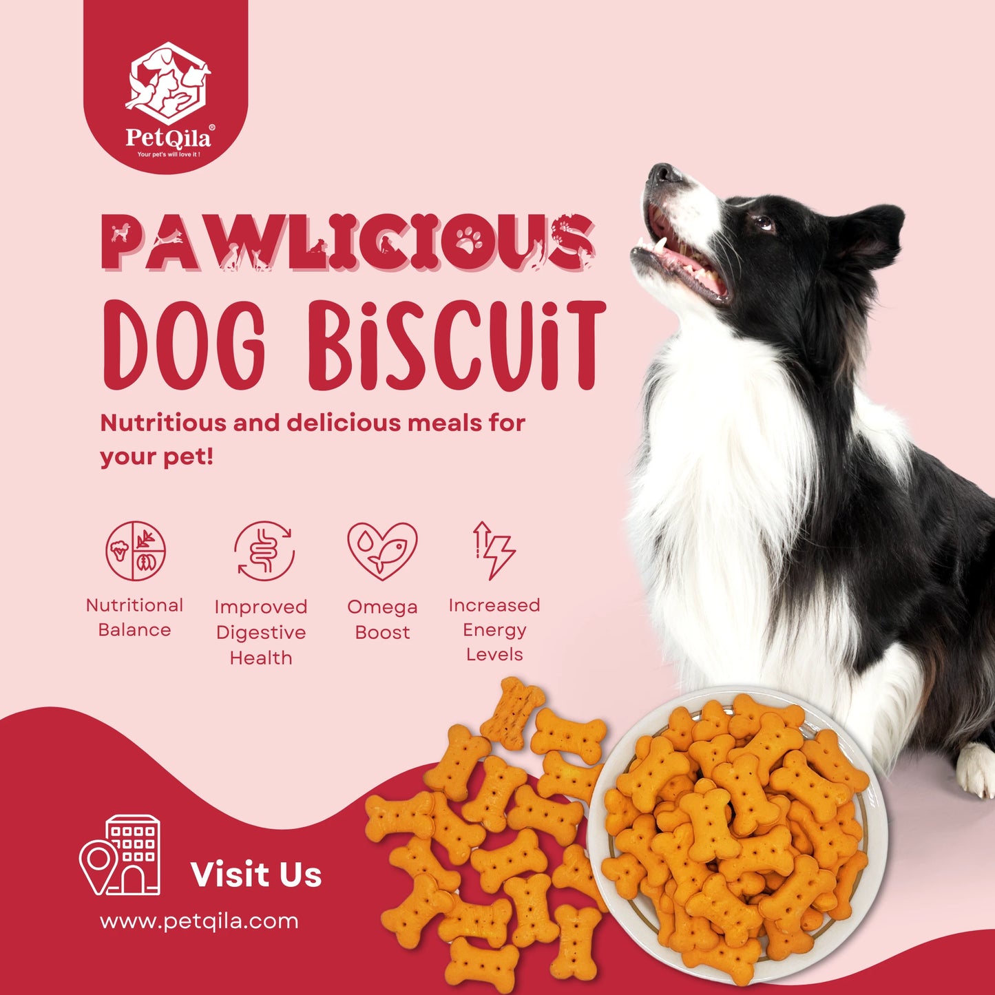 Petqila Pawlicious Dog Biscuits – Healthy & Delicious Treats for Adult 450G Different Flavor
