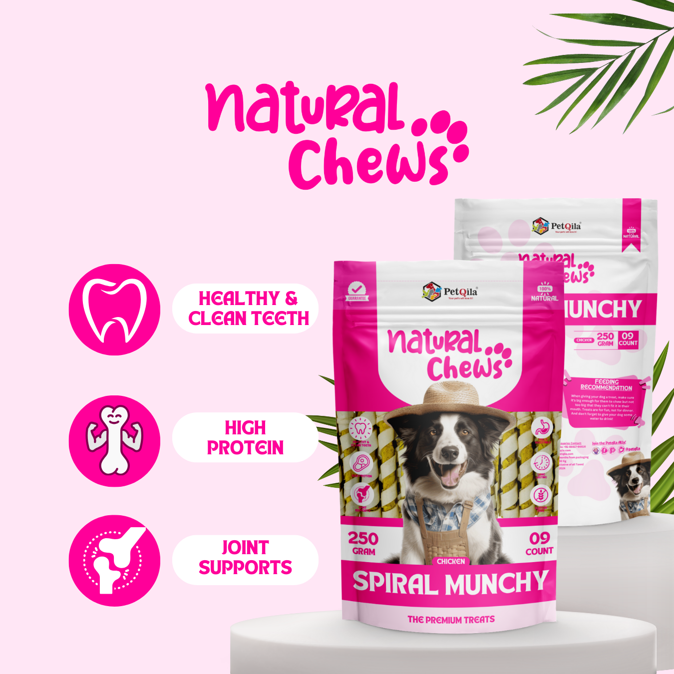 Dog Chew bone manufacturers Sticks for Healthy Teeth Natural treats long lasting petqila Chew sticks for dogs