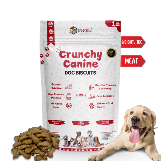 Petqila Crunchy Canine Dog Biscuits β Healthy & Delicious Treats for Dogs 1 KG Meat Flavor