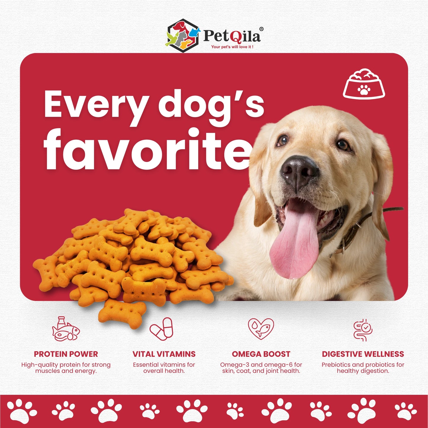 Petqila Pawlicious Dog Biscuits – Healthy & Delicious Treats for Adult 450G Different Flavor