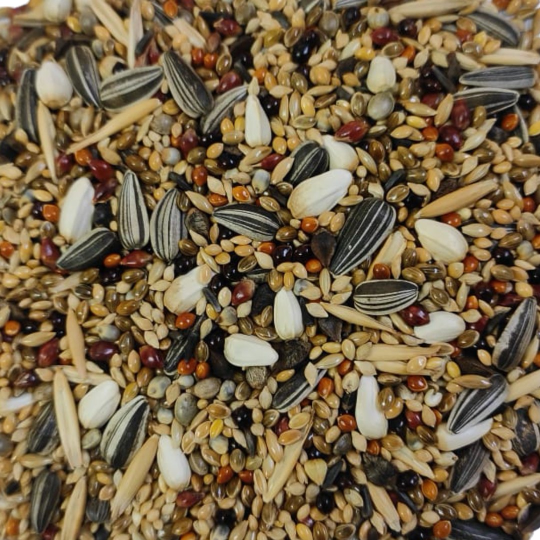 PetQila Bird Food for Cockatiel Lovebirds Mix Seeds in wholesale Kg