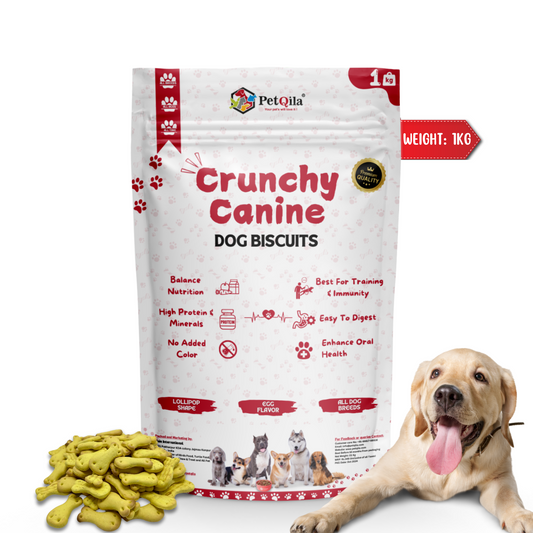 Petqila Crunchy Canine Dog Biscuits β Healthy & Delicious Treats for Dogs 1 KG Egg Flavor