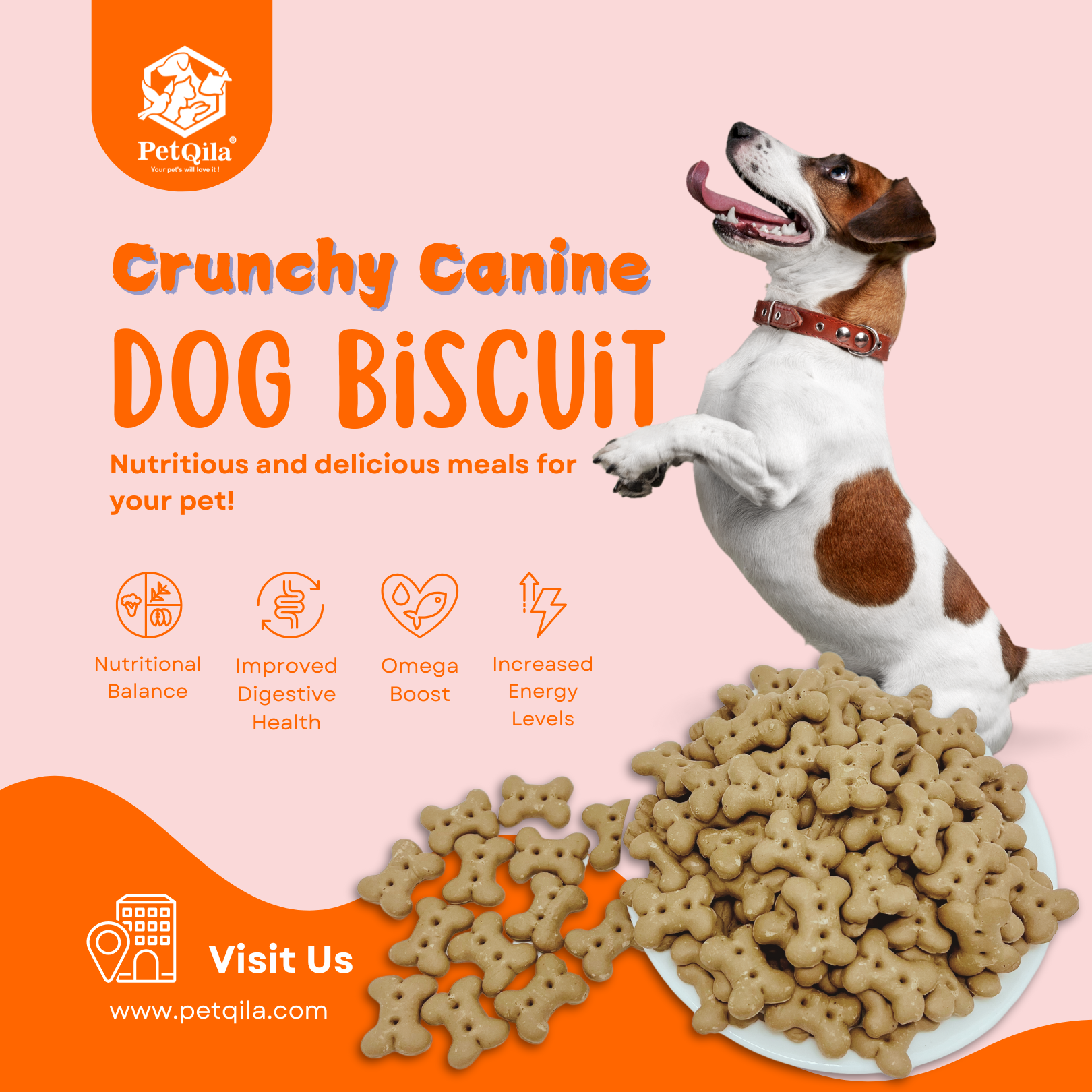 Treat your furry friend to Petqila Natural Dog Biscuits – healthy, all-natural treats made with premium ingredients. Perfect for training, rewarding, and snacking. Buy online in India today!