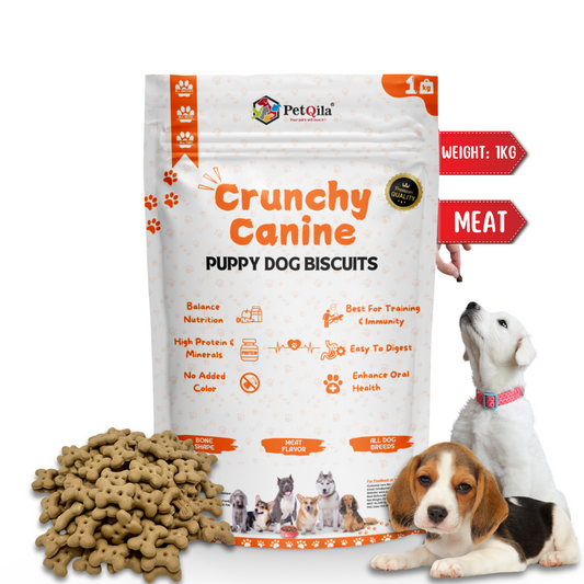 Treat your furry friend to Petqila Natural Dog Biscuits – healthy, all-natural treats made with premium ingredients. Perfect for training, rewarding, and snacking. Buy online in India today