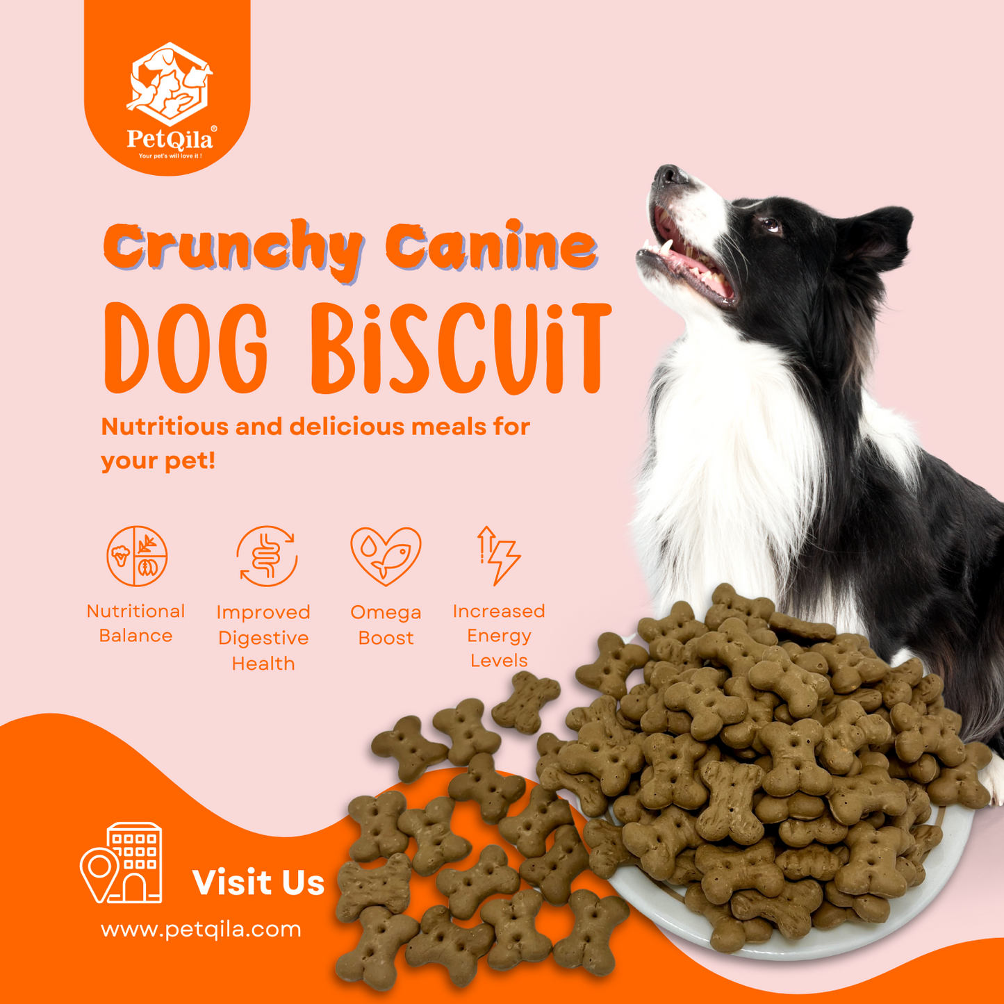 Petqila Crunchy Canine Dog Biscuits – Healthy & Delicious Treats for Puppy 1 KG Liver Flavor