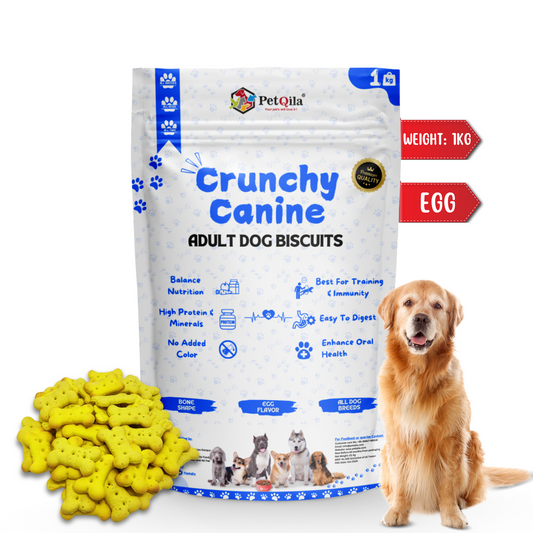 Shop Petqila Natural Dog Biscuits β healthy, all-natural treats made with premium ingredients. Perfect for rewarding, training, and snacking. Buy online in India today