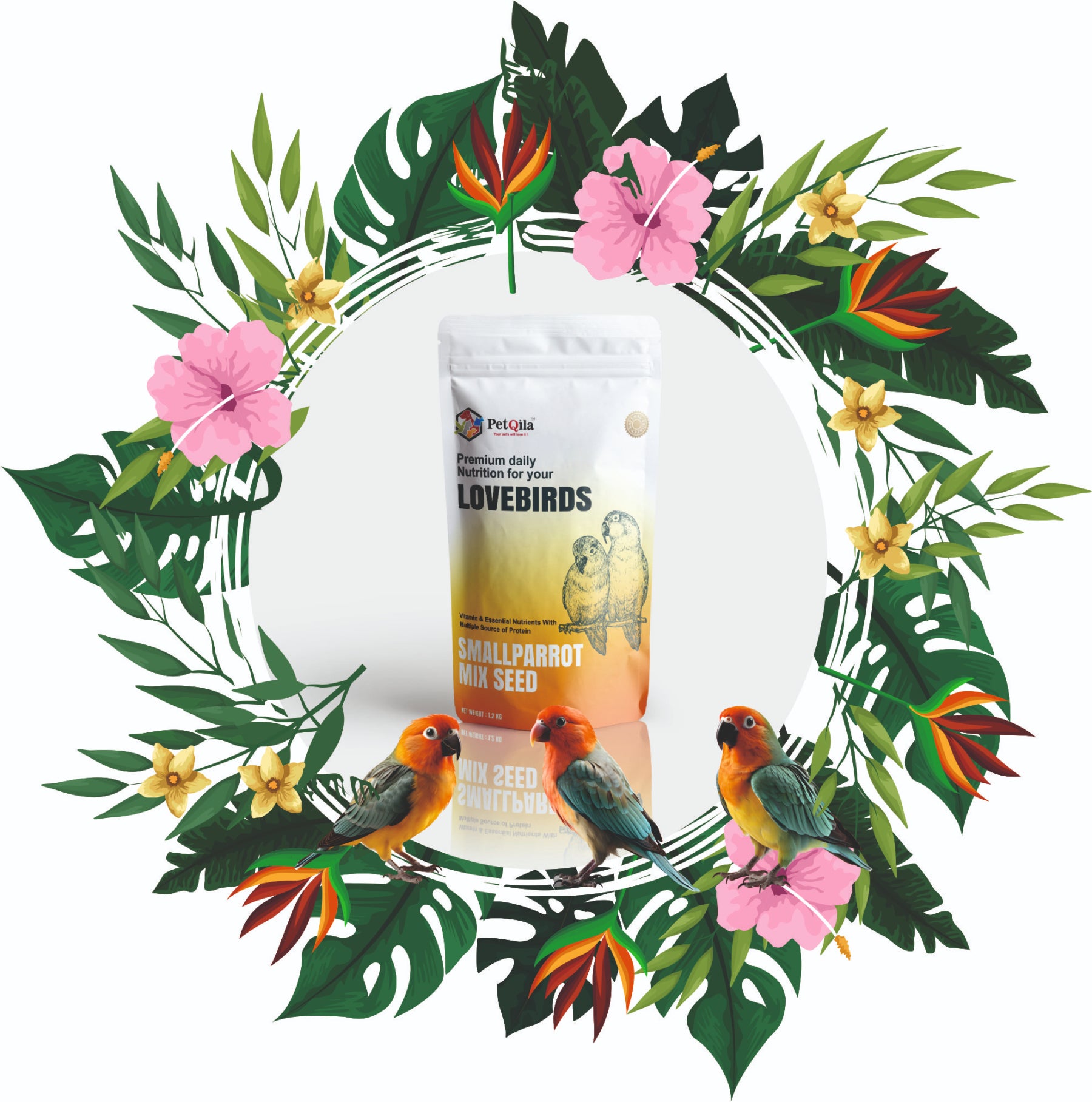 lovebirds seed and bird food