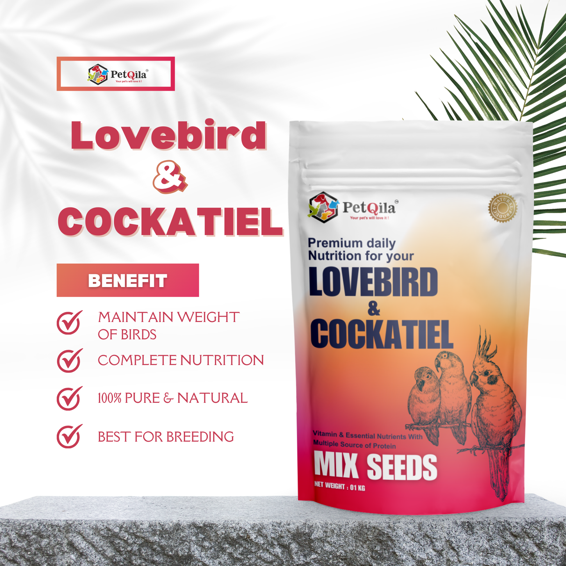 lovebirds and budgies together how many lovebirds can live together lovebird vs cockatiel can cockatiels share a cage with other birds cockatiel and lovebirds together