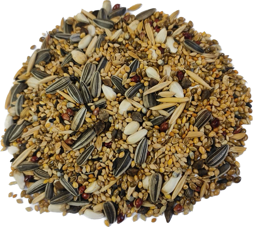 PetQila Bird Food for Cockatiel & Lovebirds Mix Seeds in wholesale 5.00 Kg