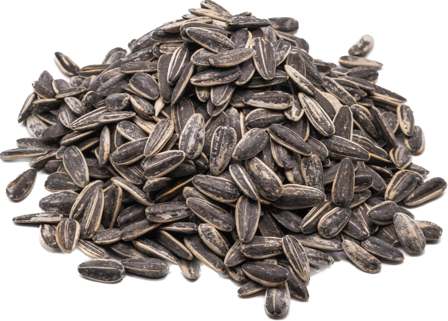 PetQila Striped Sunflower Seeds in wholesale price