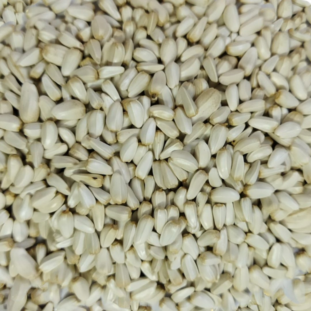 kuska plant seeds PetQila Safflower Seeds (Kusum Dana) Fresh & Natural in wholesale 5.00