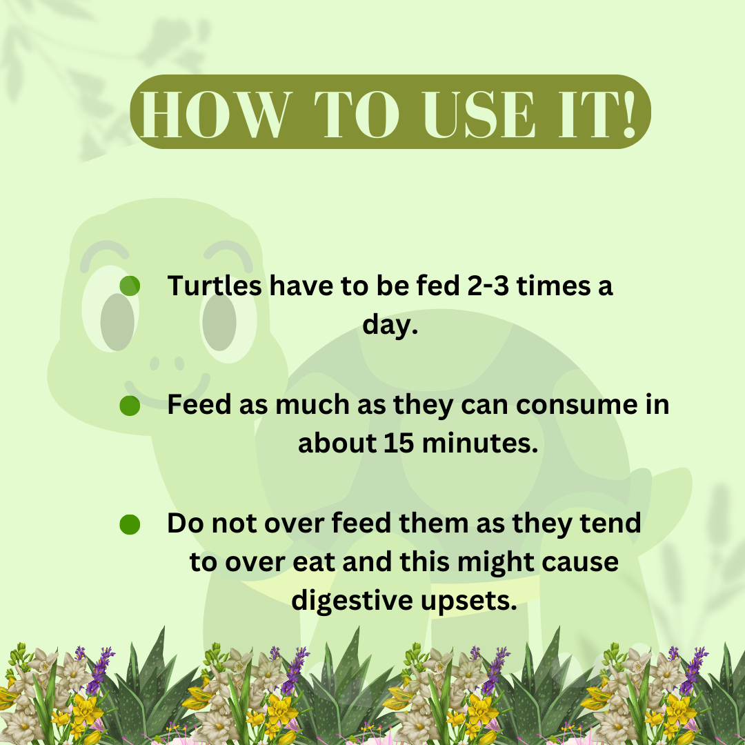 how to use turtle food