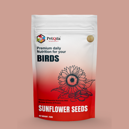 PetQila Striped Sunflower Seeds- for Lovebirds, Cockatiels etc For All Life Stages