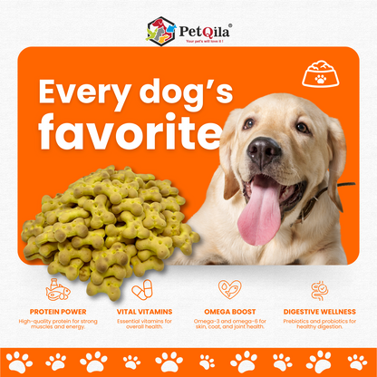 Discover Petqila Natural Dog Biscuits – healthy, all-natural treats crafted to keep your dog happy and healthy. Perfect for training, snacking, and rewarding. Buy online in India!