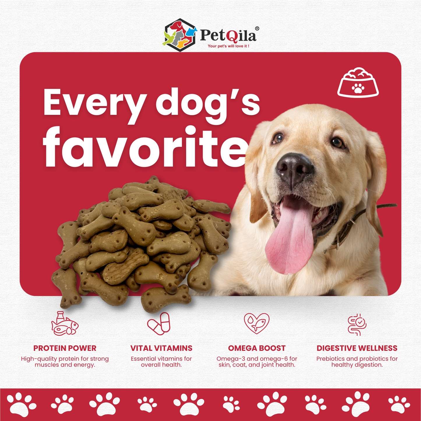 Petqila Crunchy Canine Dog Biscuits – Healthy & Delicious Treats for Dogs 1 KG Meat Flavor