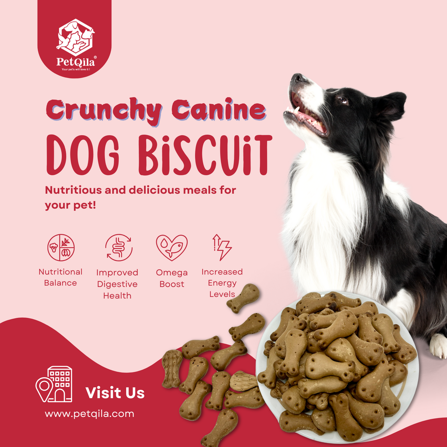 Petqila Crunchy Canine Dog Biscuits – Healthy & Delicious Treats for Dogs 1 KG Meat Flavor