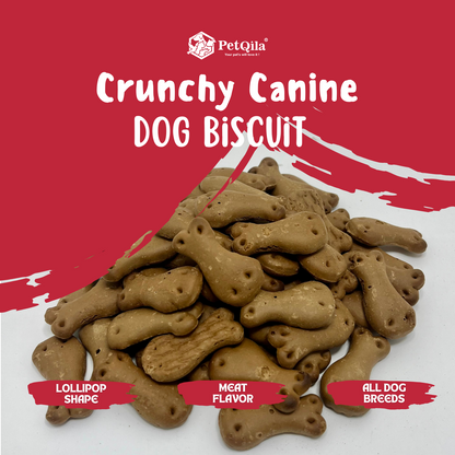 Petqila Crunchy Canine Dog Biscuits – Healthy & Delicious Treats for Dogs 1 KG Meat Flavor