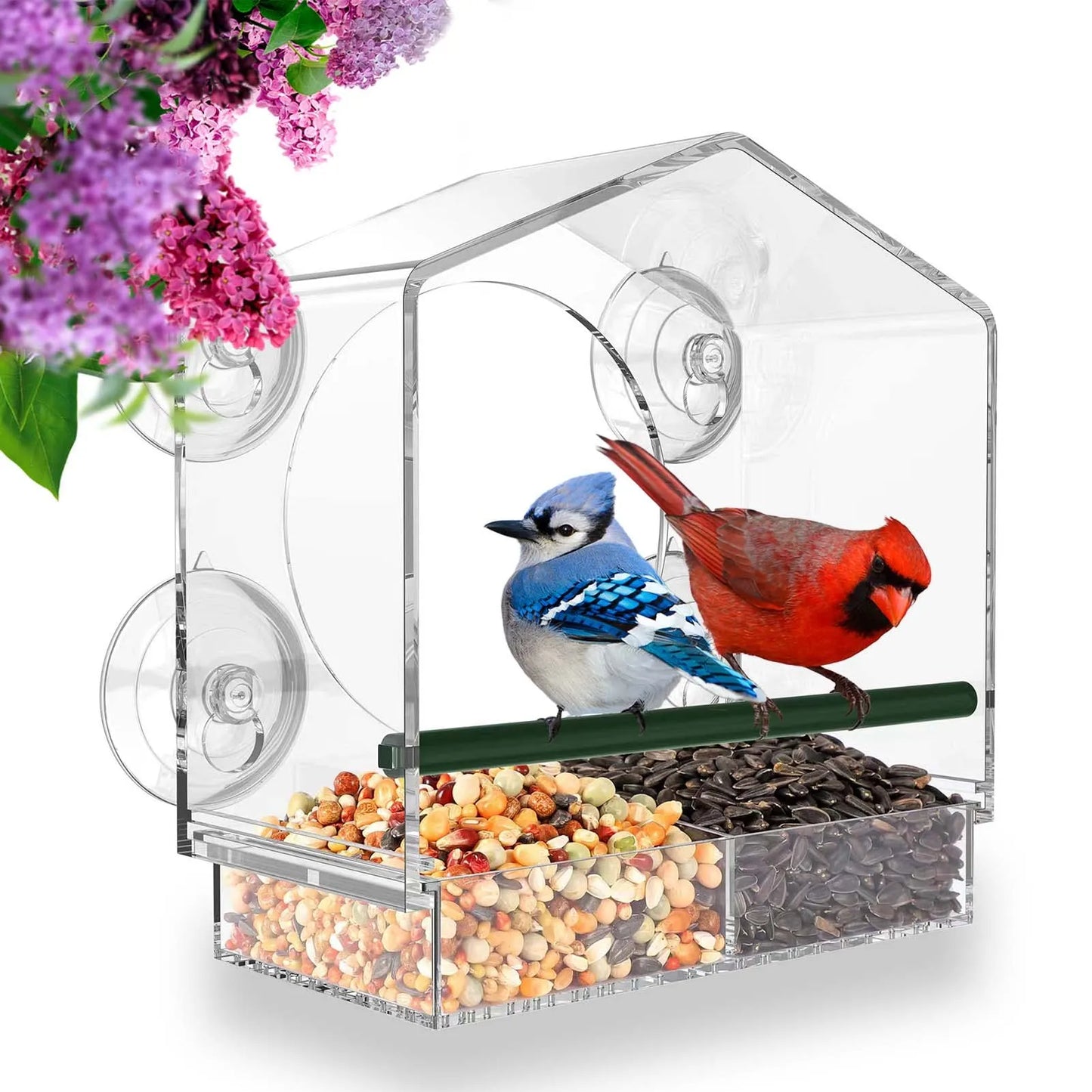 Bird Feeder Acrylic Transparent Window Bird Feeder Tray Bird House Pet Feeder Suction Cup Installation House Type Feeder