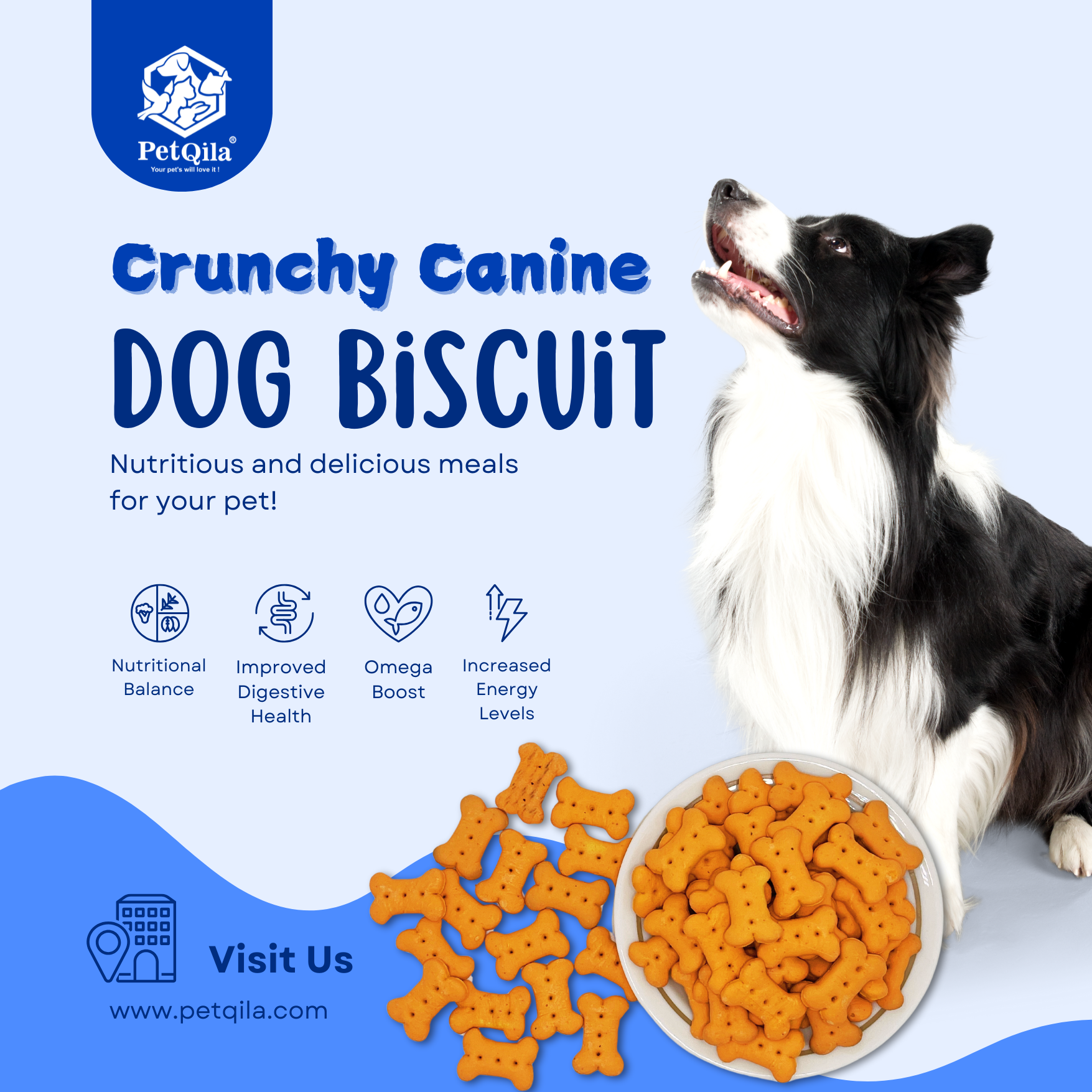 Discover Petqila Dog Biscuits – crunchy, healthy, and made with natural ingredients. Perfect for dogs of all sizes.