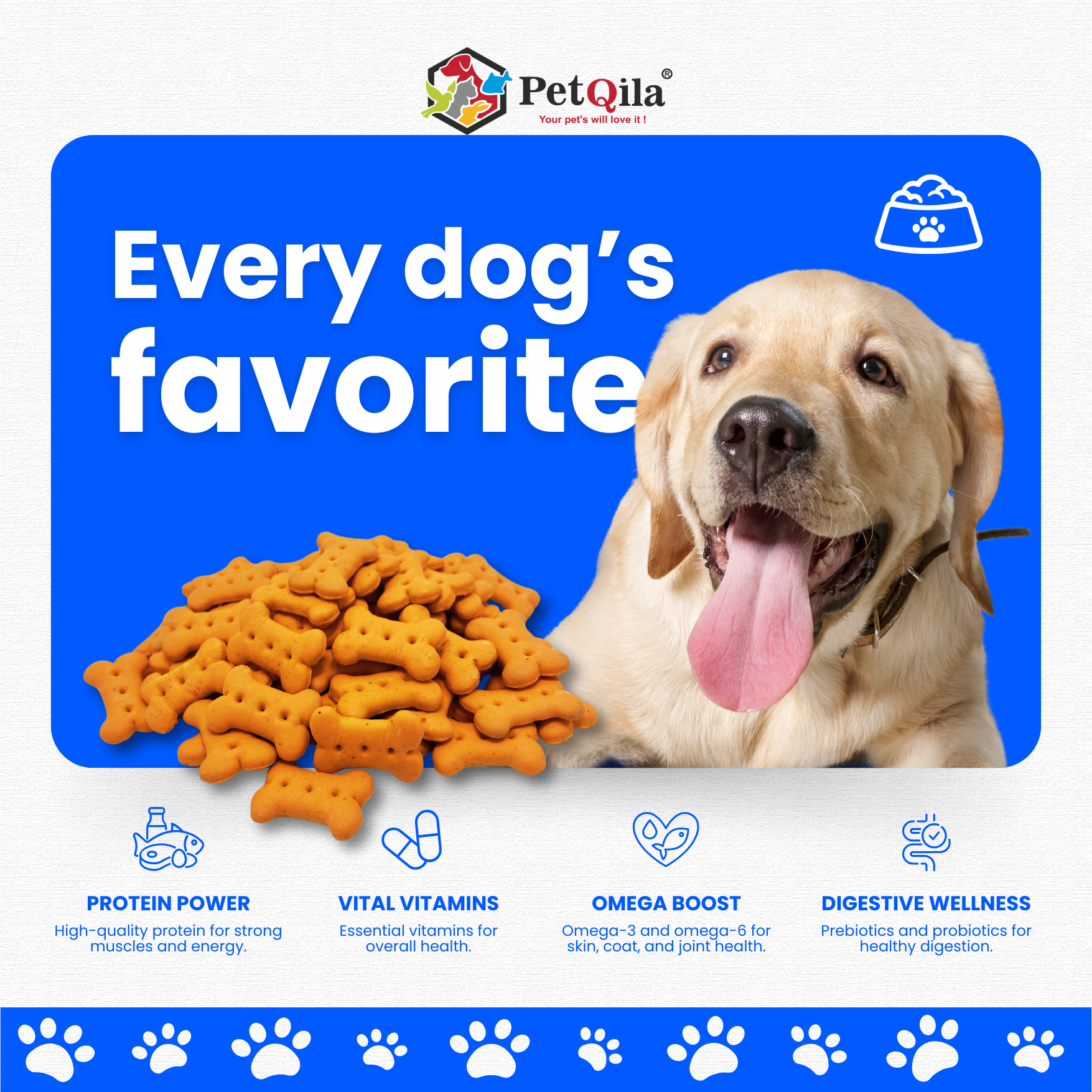 Discover Petqila Dog Biscuits – crunchy, healthy, and made with natural ingredients.