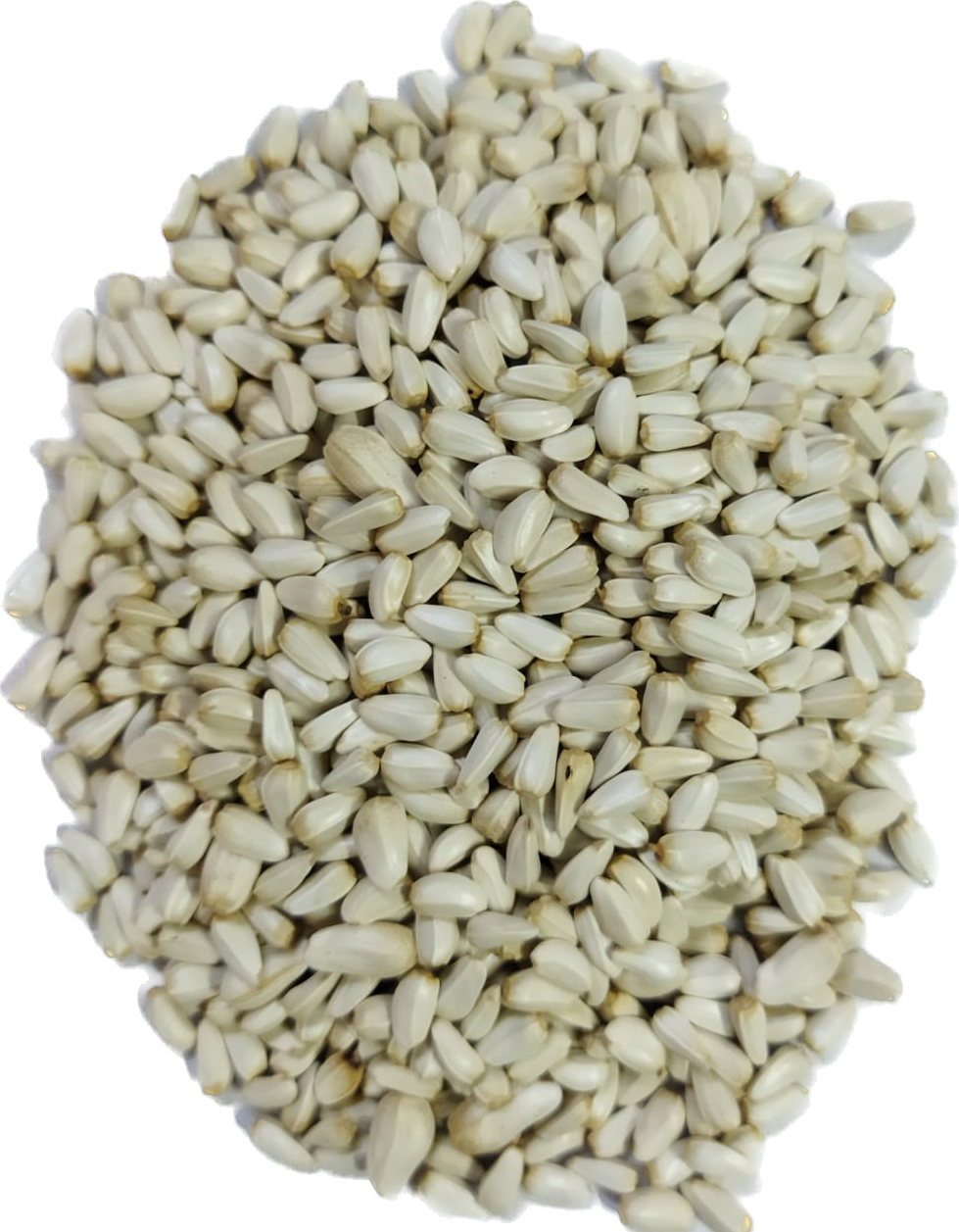 PetQila Safflower Seeds (Kusum Dana) Fresh & Natural in wholesale 5.00 Kg