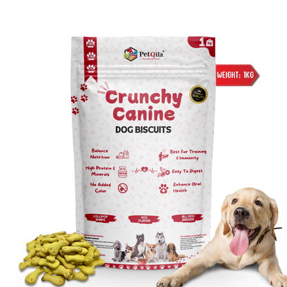 Petqila Crunchy Canine Dog Biscuits – Healthy & Delicious Treats for Dogs 1 KG Egg Flavor