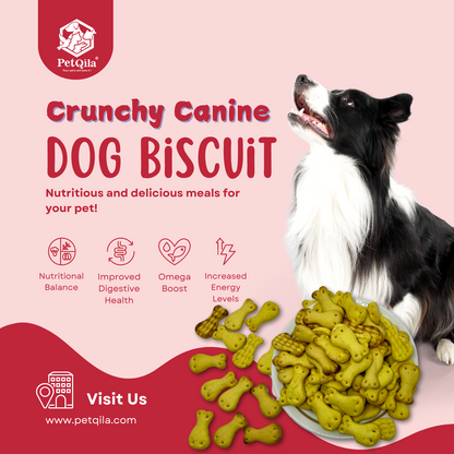 Petqila Crunchy Canine Dog Biscuits – Healthy & Delicious Treats for Dogs 1 KG Egg Flavor