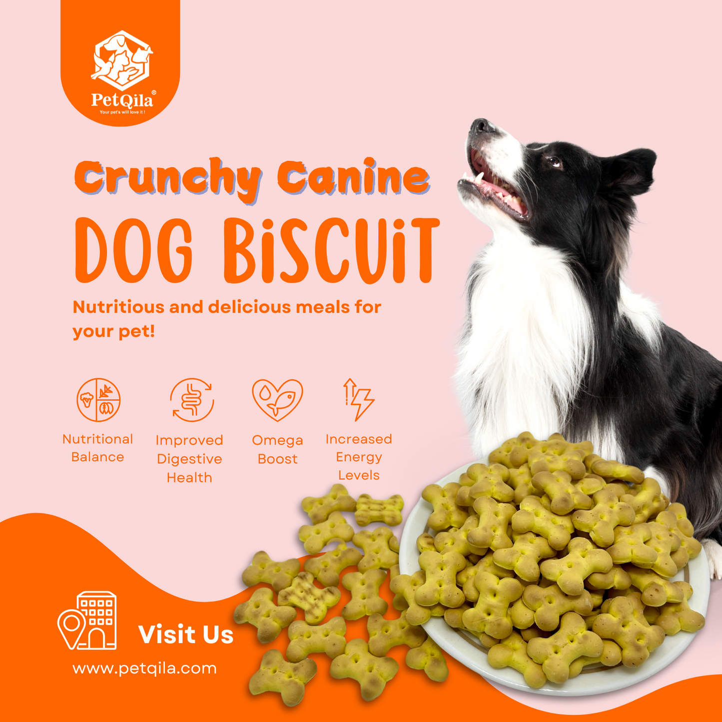 Discover Petqila Natural Dog Biscuits – healthy, all-natural treats crafted to keep your dog happy and healthy. Perfect for training, snacking, and rewarding. Buy online in India!