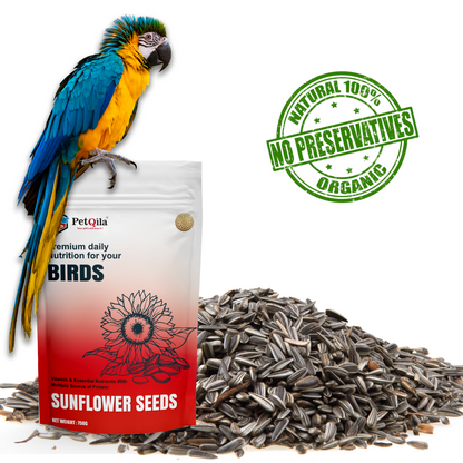 PetQila Striped Sunflower Seeds- for Lovebirds, Cockatiels etc For All Life Stages