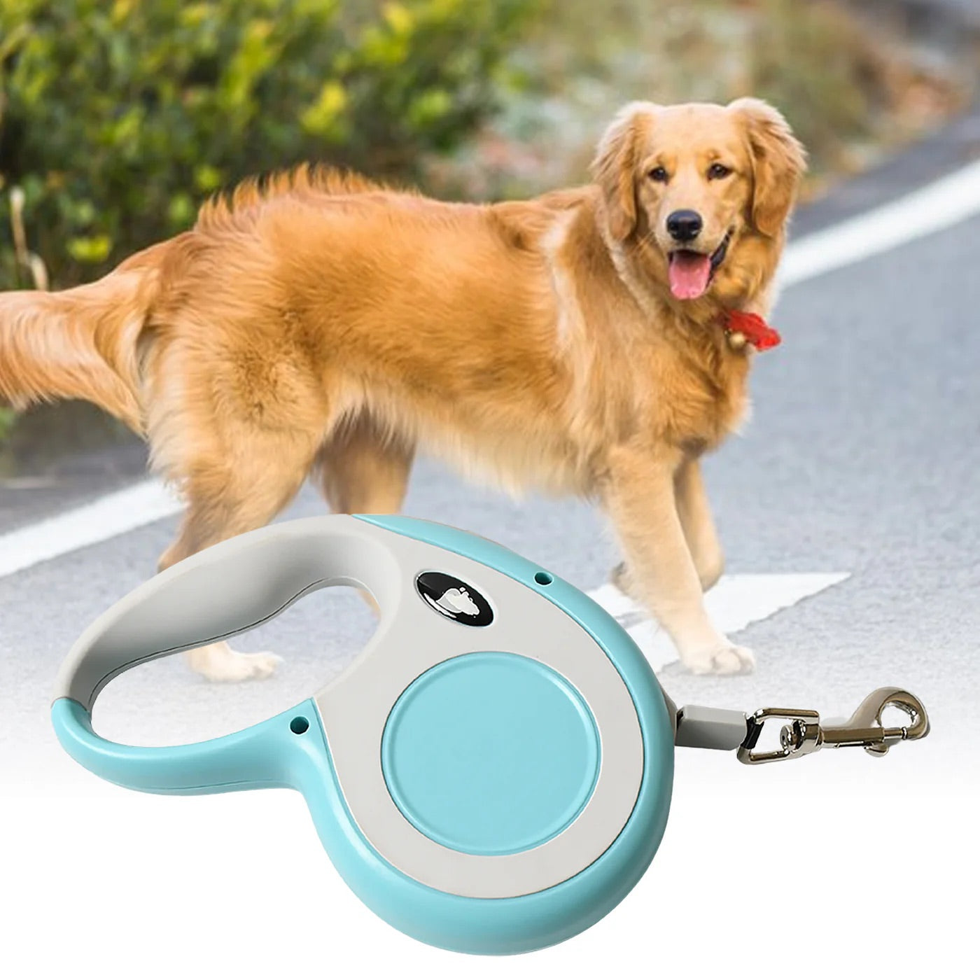 Retractable Dog Leash, Pet Walking Leash with Anti-Slip Handle, Strong Nylon Tape, Tangle-Free, One-Handed One Button Lock & Release, Suitable for Small / Medium Dog Or Cat, 16.5 ft (5 m)