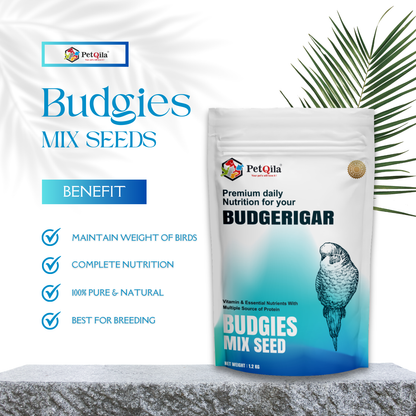 Premium Budgie Seed Mix – Healthy Nutrition for Vibrant Feathers & Energy