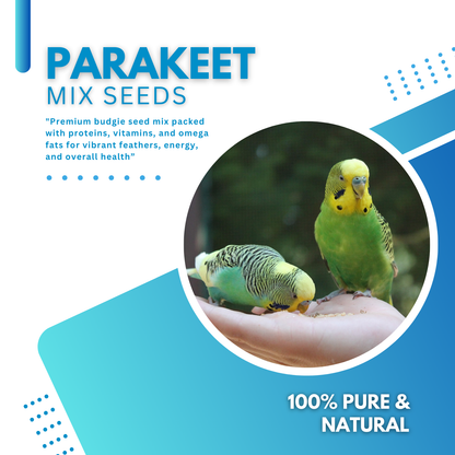 Premium Budgie Seed Mix – Healthy Nutrition for Vibrant Feathers & Energy