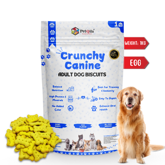 Shop Petqila Natural Dog Biscuits – healthy, all-natural treats made with premium ingredients. Perfect for rewarding, training, and snacking. Buy online in India today