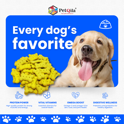 Shop Petqila Natural Dog Biscuits – healthy, all-natural treats made with premium ingredients. Perfect for rewarding, training, and snacking.