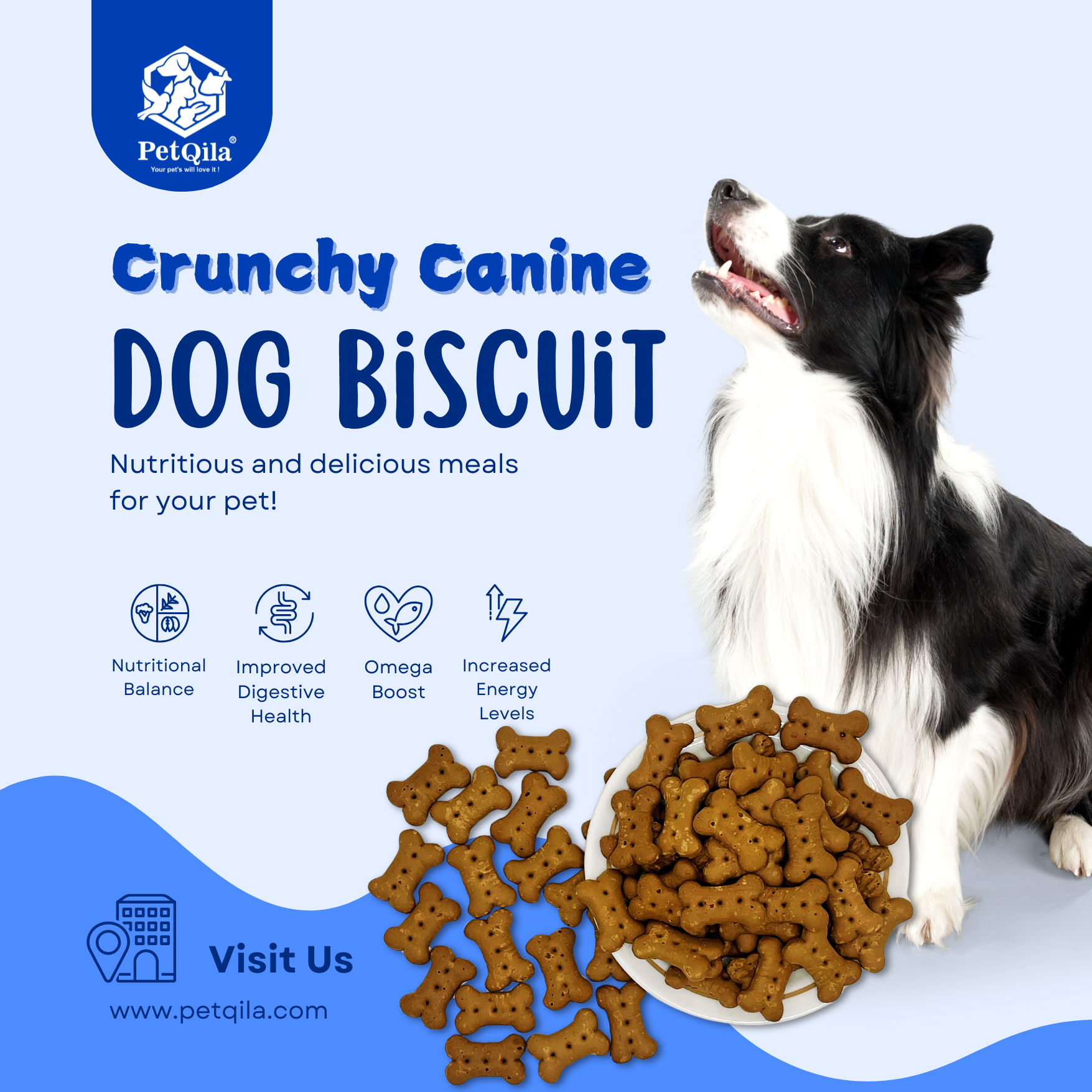 Petqila Natural Dog Biscuits – healthy, all-natural treats made with premium ingredients. Perfect for training, rewarding, and snacking. Buy online in India today!