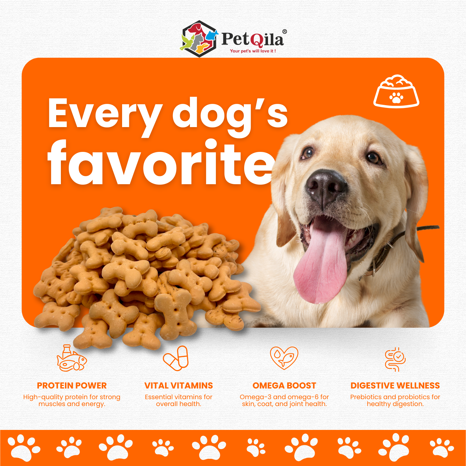 Petqila natural dog biscuits, healthy and crunchy treats made with all-natural ingredients, perfect for rewarding and training dogs.