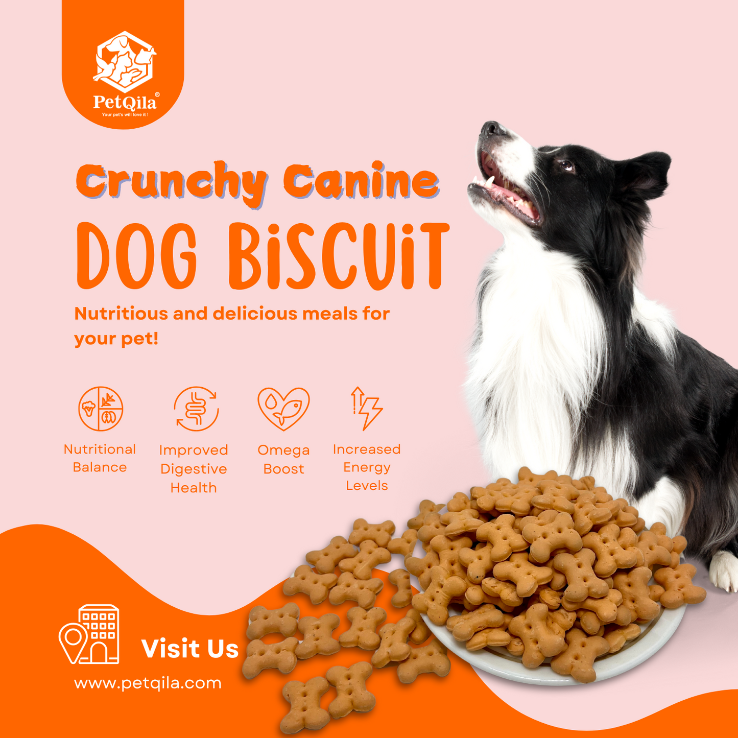 Petqila natural dog biscuits, healthy and crunchy treats made with all-natural ingredients, perfect for rewarding and training dogs.