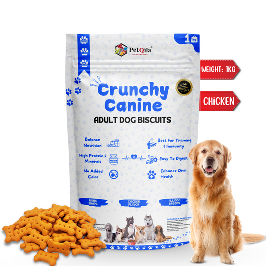 Discover Petqila Dog Biscuits – crunchy, healthy, and made with natural ingredients. Perfect for dogs of all sizes. Shop the best dog treats online in India