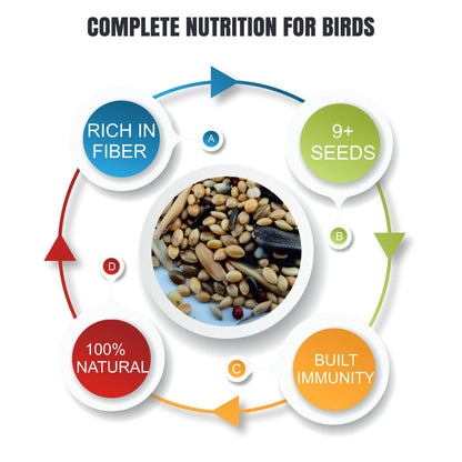 PetQila Bird Food for Budgies | Pure Natural with Build Immunity System - Mix Seeds (1.2 KG)