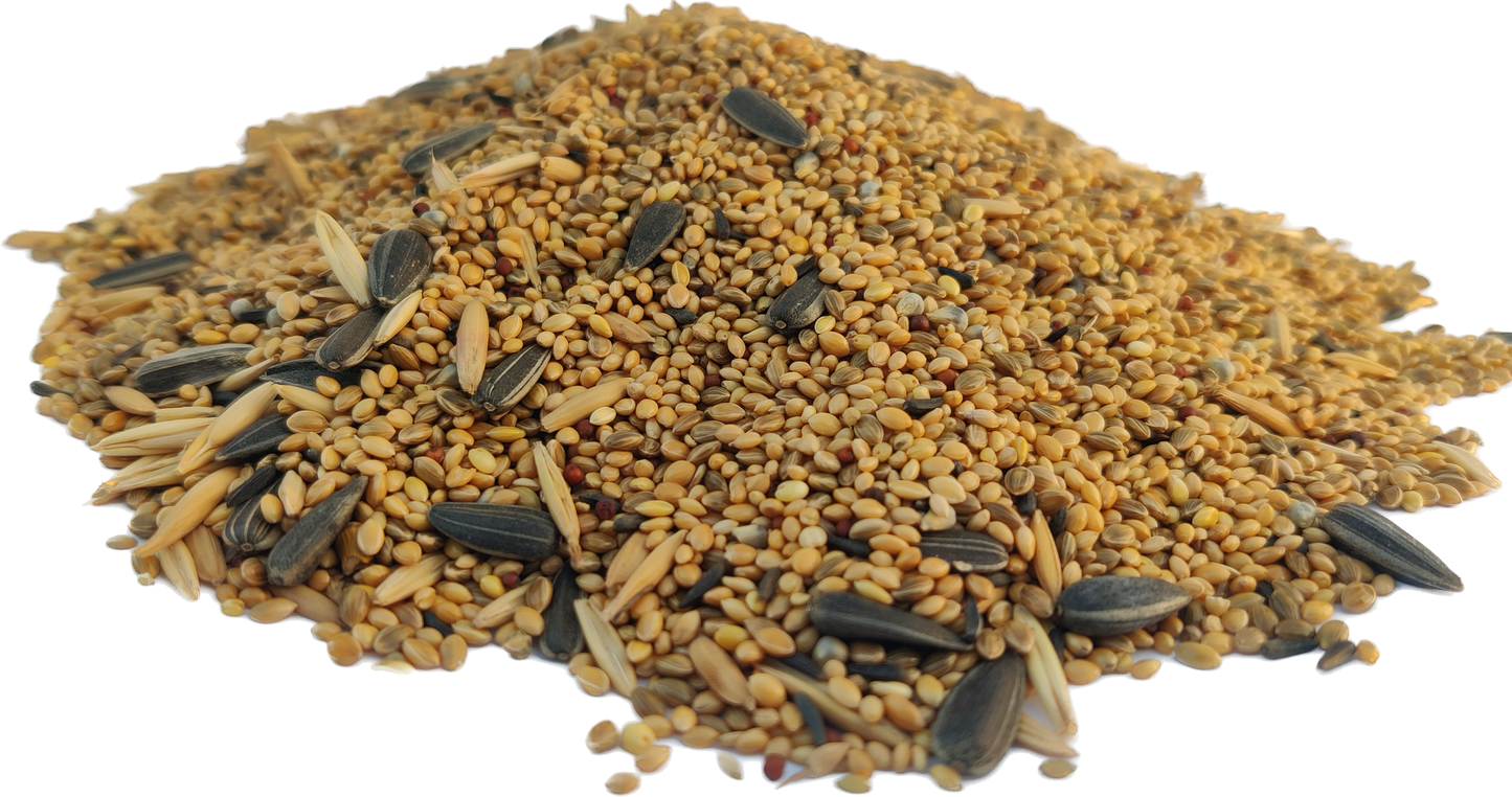 PetQila Bird Food for Budgies wholesale 5.00 Kg