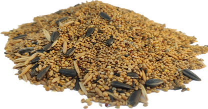 PetQila Bird Food for Budgies wholesale 5.00 Kg