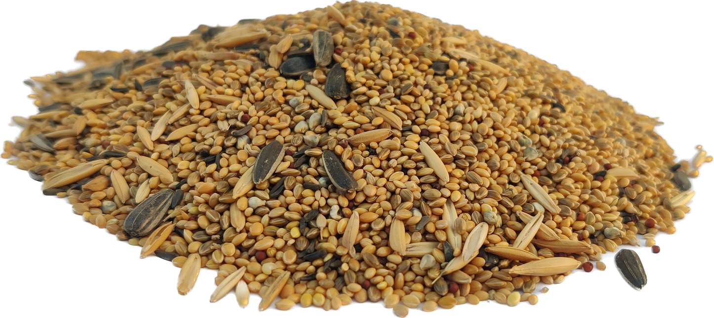 PetQila Bird Food for Budgies wholesale 5.00 Kg