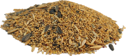 PetQila Bird Food for Budgies wholesale 5.00 Kg