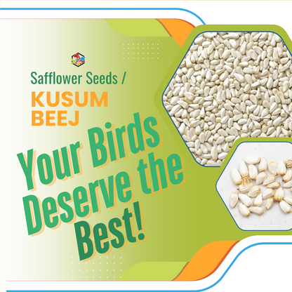 Safflower Seeds Kusum beej for Exotic birds 1 Kg