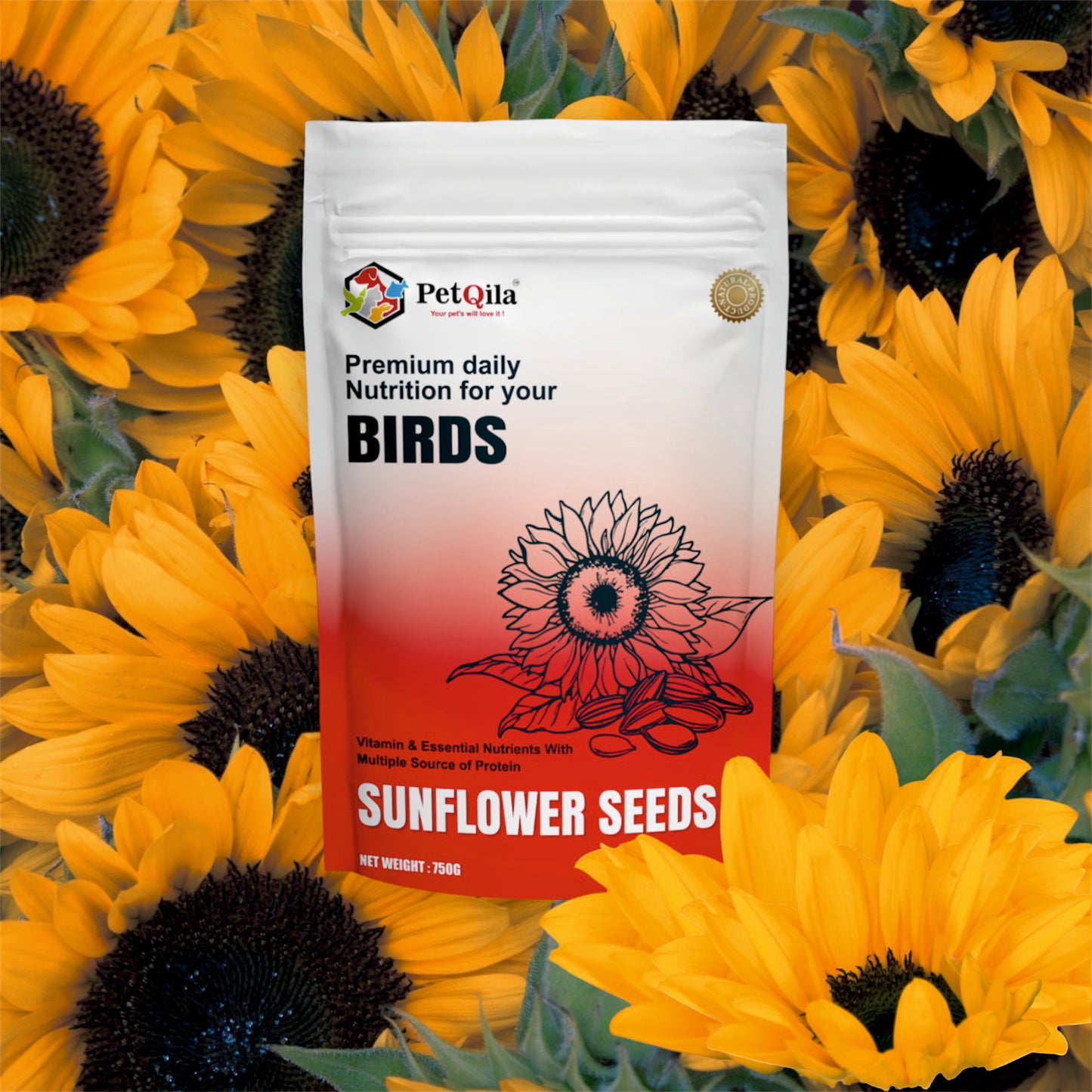 PetQila Striped Sunflower Seeds- for Lovebirds, Cockatiels etc For All Life Stages