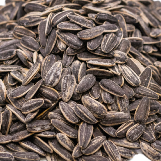 PetQila Striped Sunflower Seeds in wholesale price